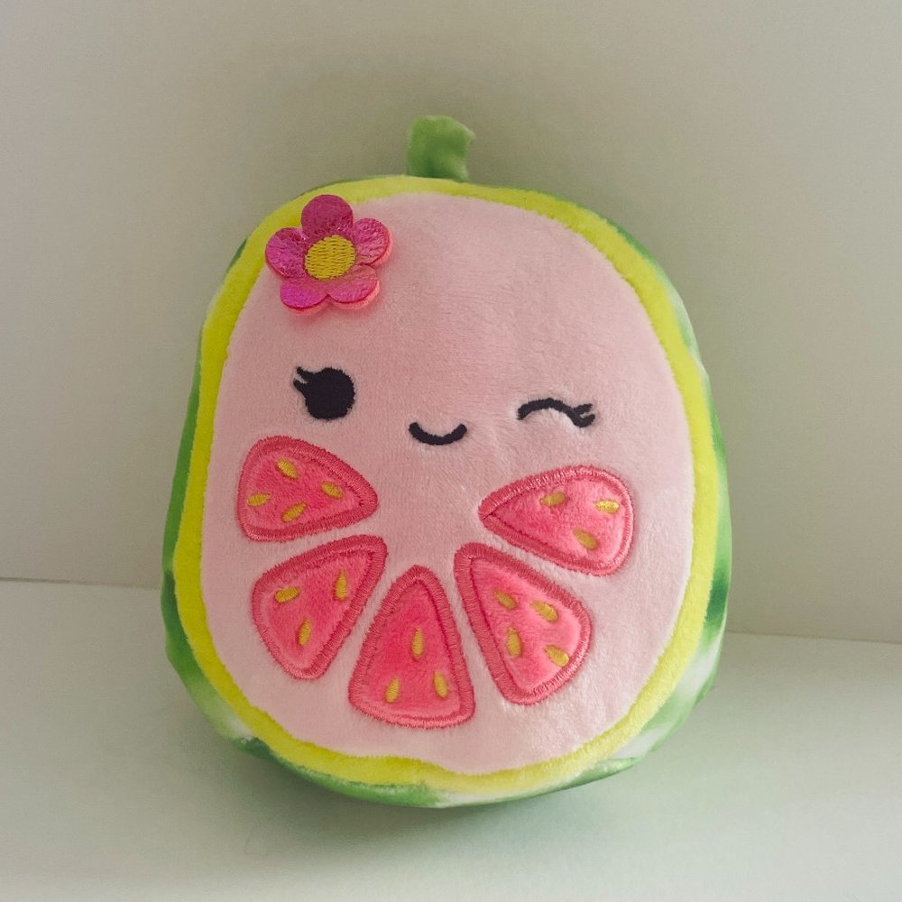 5 " Watermelon Squishmallow